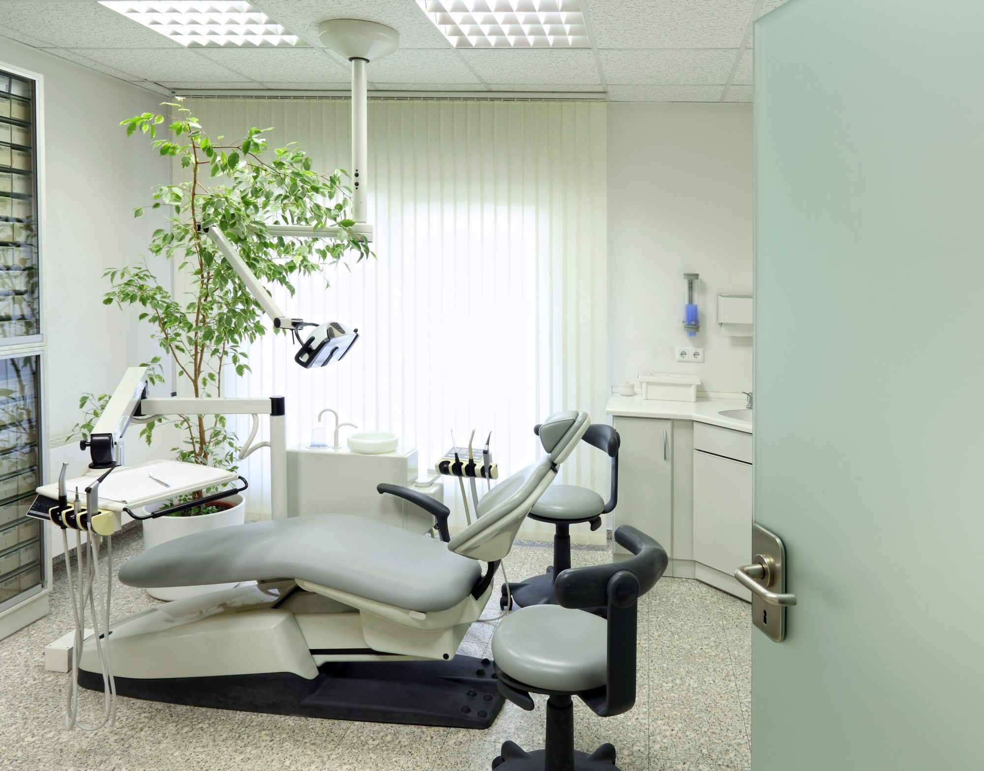 greenery in dental office remodel