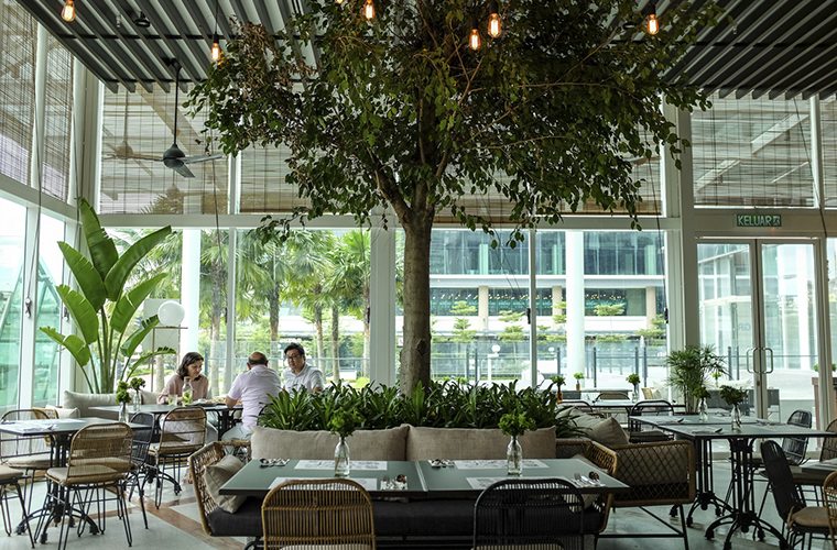 nature inspired restaurant remodel